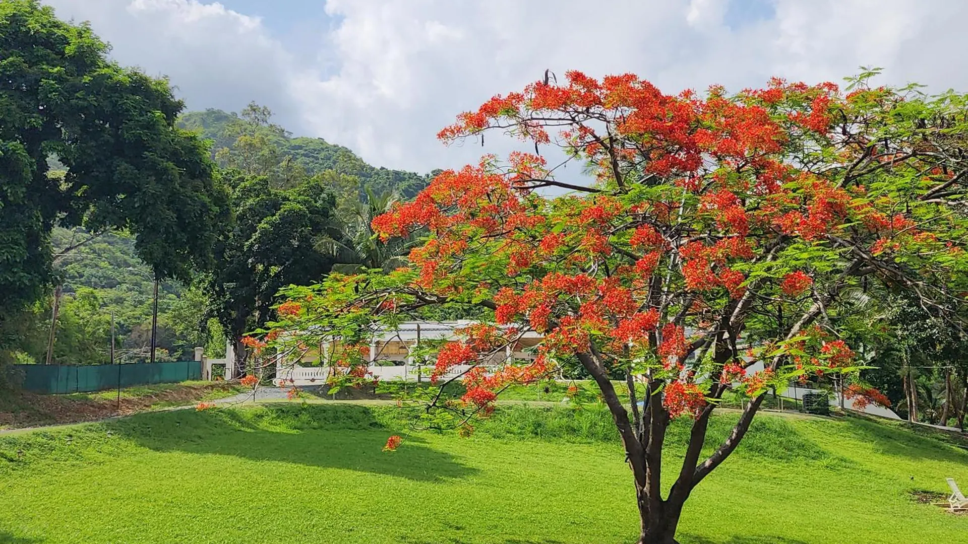 Hacienda Los Espanoles Villa Guayanilla Puerto Rico